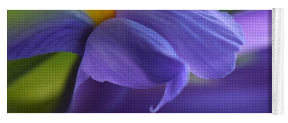 Iris Yoga Mat featuring the photograph Secrets of Iris by Debra Banks