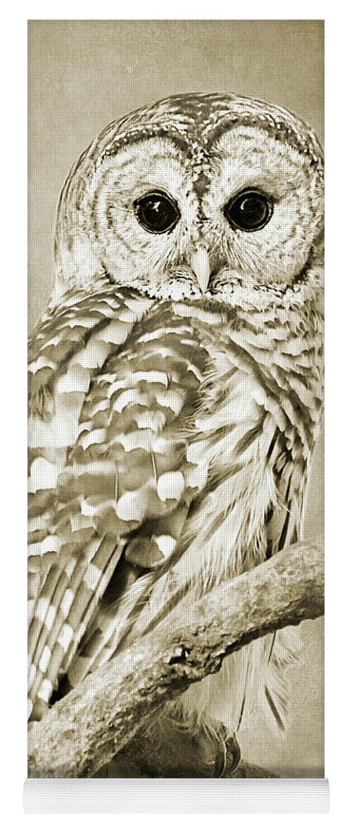 Owl Yoga Mat featuring the photograph Sepia Owl by Christina Rollo