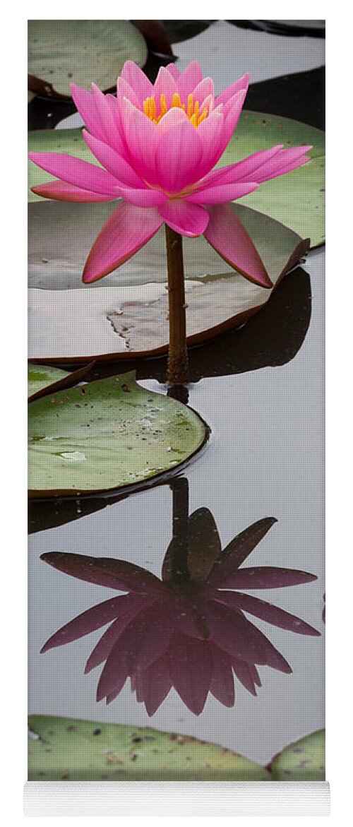 Kenilworth Aquatic Gardens Yoga Mat featuring the photograph Serene Beauty by Georgette Grossman