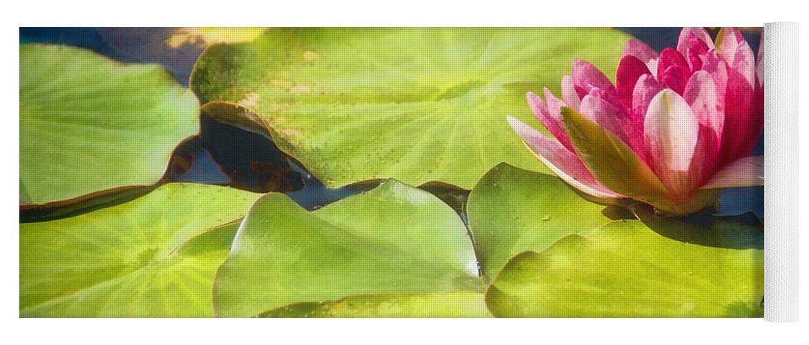 Pink Yoga Mat featuring the photograph Serenity And Solitude by Peggy Hughes