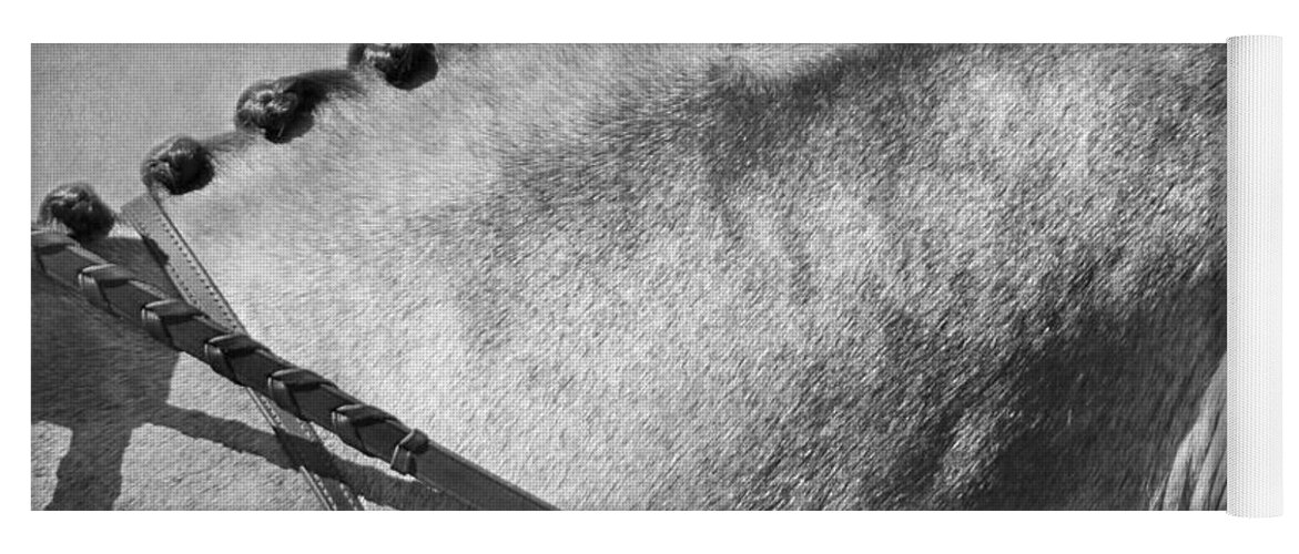 Horse Yoga Mat featuring the photograph Shades of Grey Fine Art Horse Photography by Michelle Wrighton