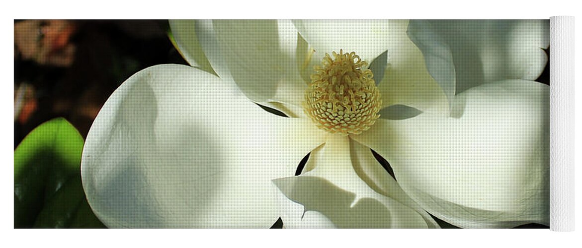 Reid Callaway The Opening Yoga Mat featuring the photograph Shadows Of Beauty Magnolia Flower Art by Reid Callaway
