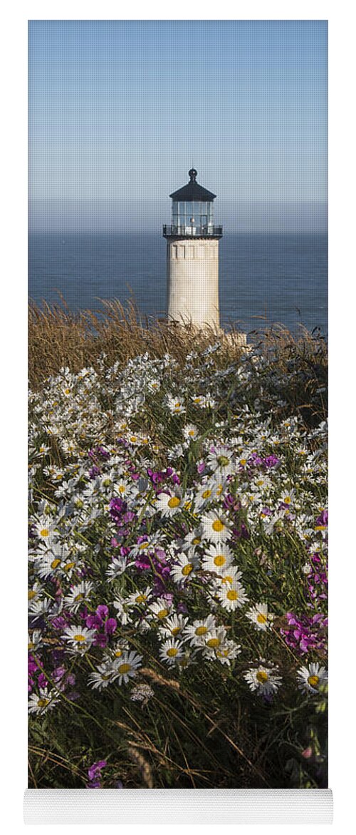 Cape Disappointment State Park Yoga Mat featuring the photograph Shasta Daisies at North Head Lighthouse. by Robert Potts