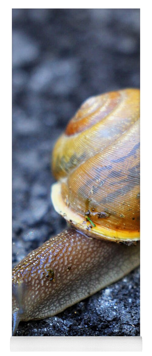 Snail Yoga Mat featuring the photograph Shell Shock by Jennifer Robin