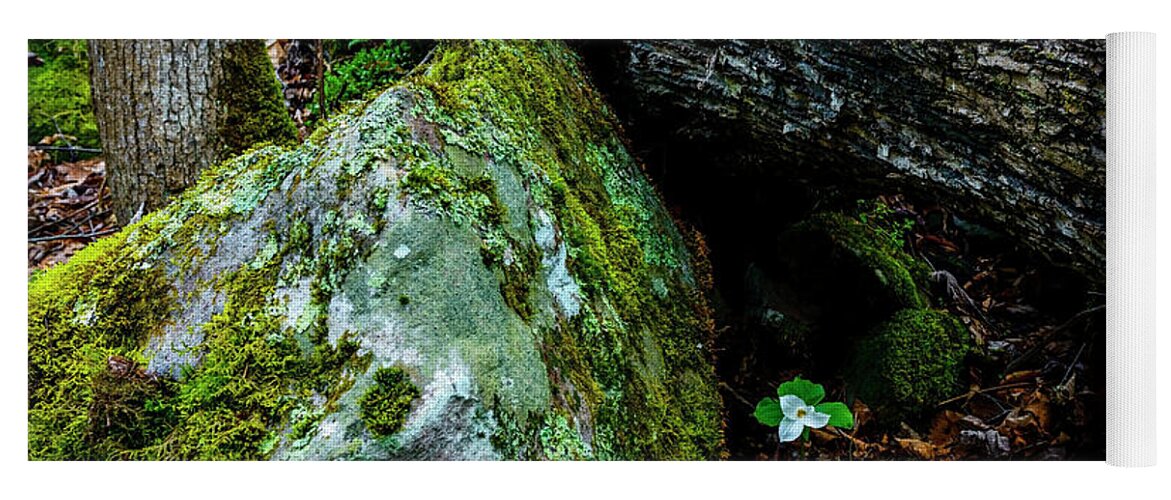 Dwarf White Trillium Yoga Mat featuring the photograph Sheltered by the Rock by Thomas R Fletcher