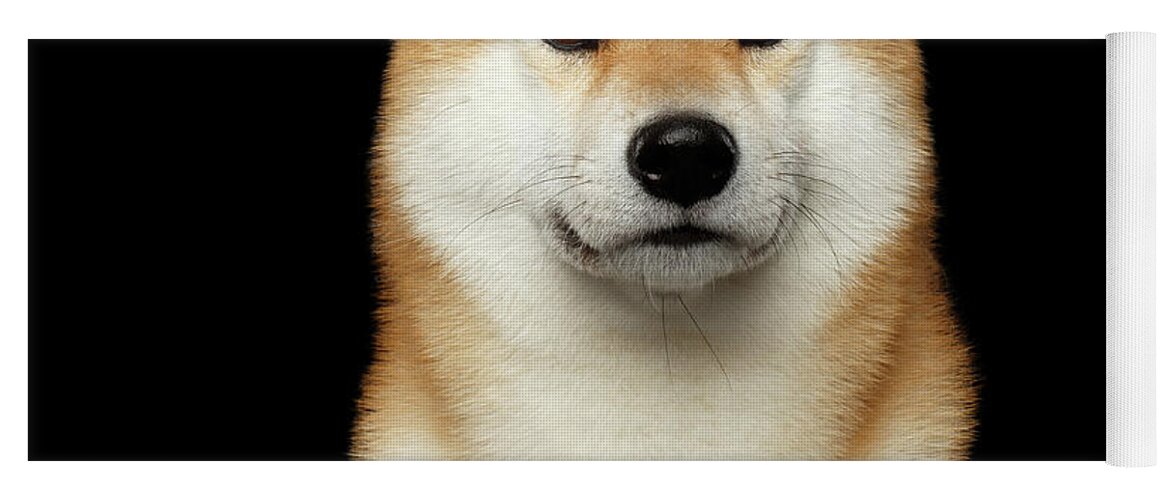 Dog Yoga Mat featuring the photograph Shiba inu by Sergey Taran