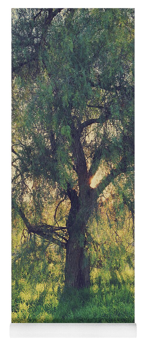 Trees Yoga Mat featuring the photograph Shine Your Light by Laurie Search