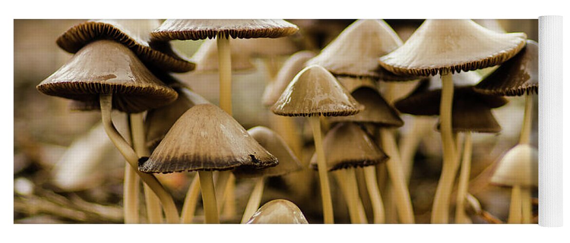 Mushrooms Yoga Mat featuring the photograph Shrooms by Nick Boren