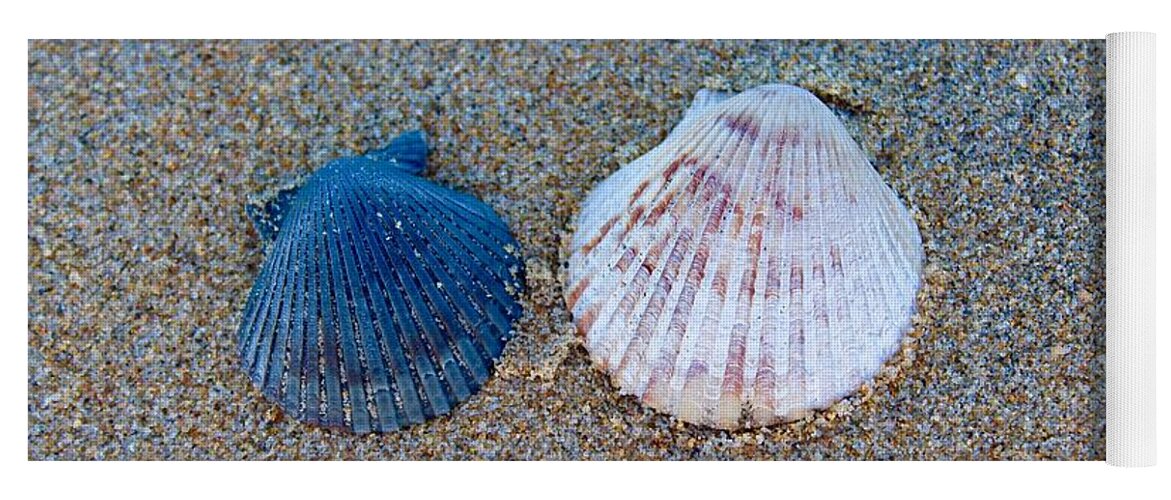 Shells Yoga Mat featuring the photograph Side By Side Shells by Brian Eberly
