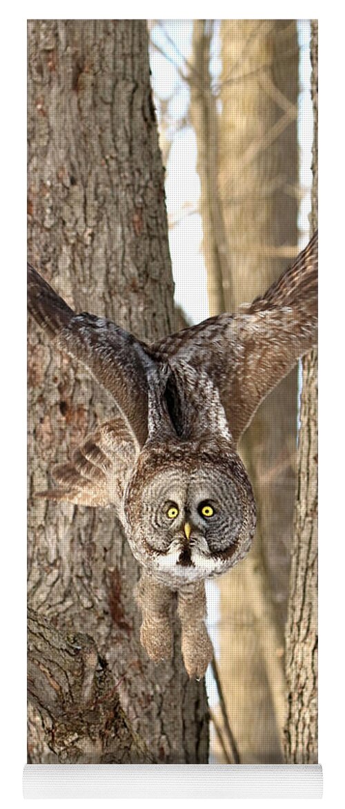 Owl Yoga Mat featuring the photograph Silent Hunter by Heather King