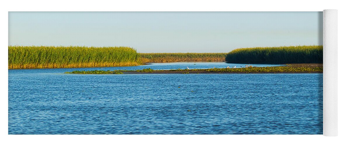 Gulf Of Mexico Yoga Mat featuring the photograph Silt Islands and Banks Mississippi River Delta Louisiana by Paul Gaj