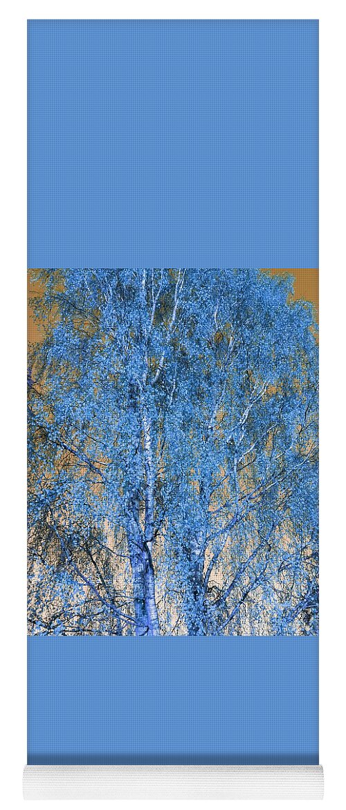 Silverbirch Yoga Mat featuring the photograph Silver Birch in Blue by Rowena Tutty