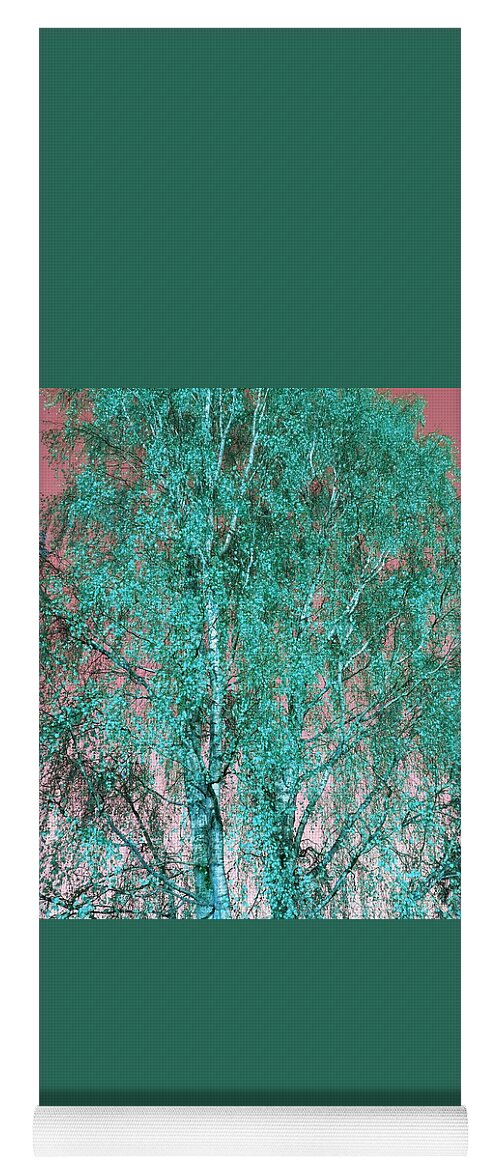 Silverbirch Yoga Mat featuring the photograph Silver Birch in Turquoise by Rowena Tutty