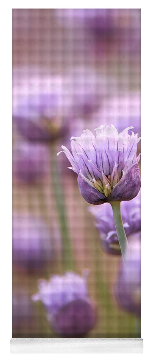 Flower Yoga Mat featuring the photograph Simple Flowers by Jennifer Grossnickle