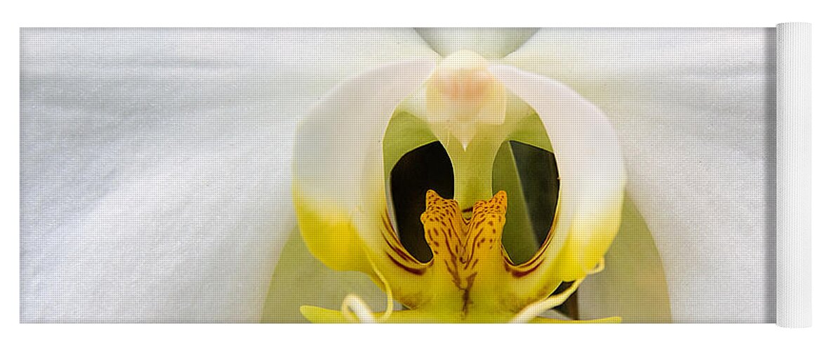 Simplicitymoth Orchid Yoga Mat featuring the photograph Simplicity by Jemmy Archer