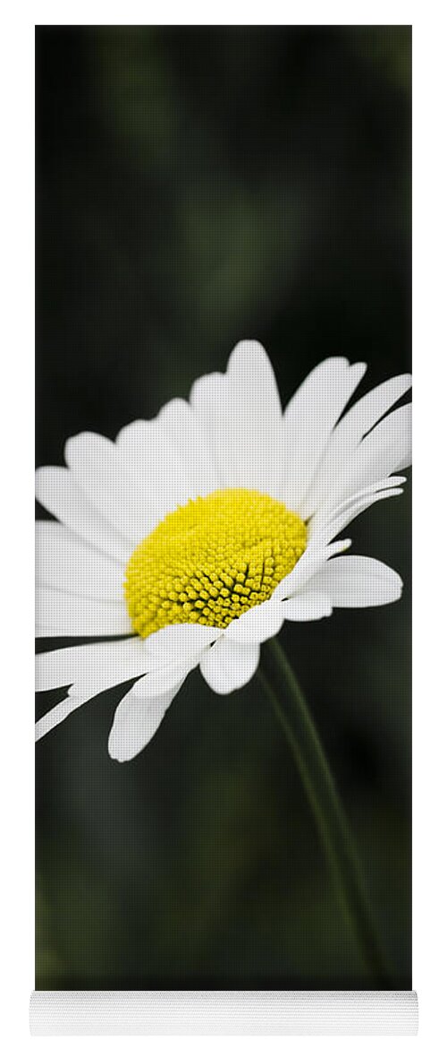 Flower Yoga Mat featuring the photograph Single wild daisy by Simon Bratt