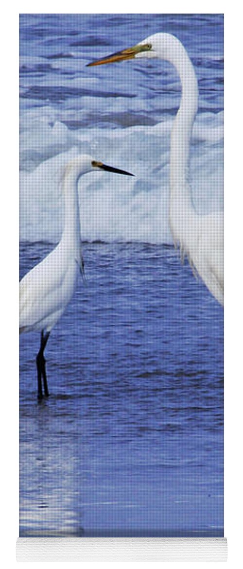 Great White Heron Yoga Mat featuring the photograph Sizing Things Up by Debby Pueschel
