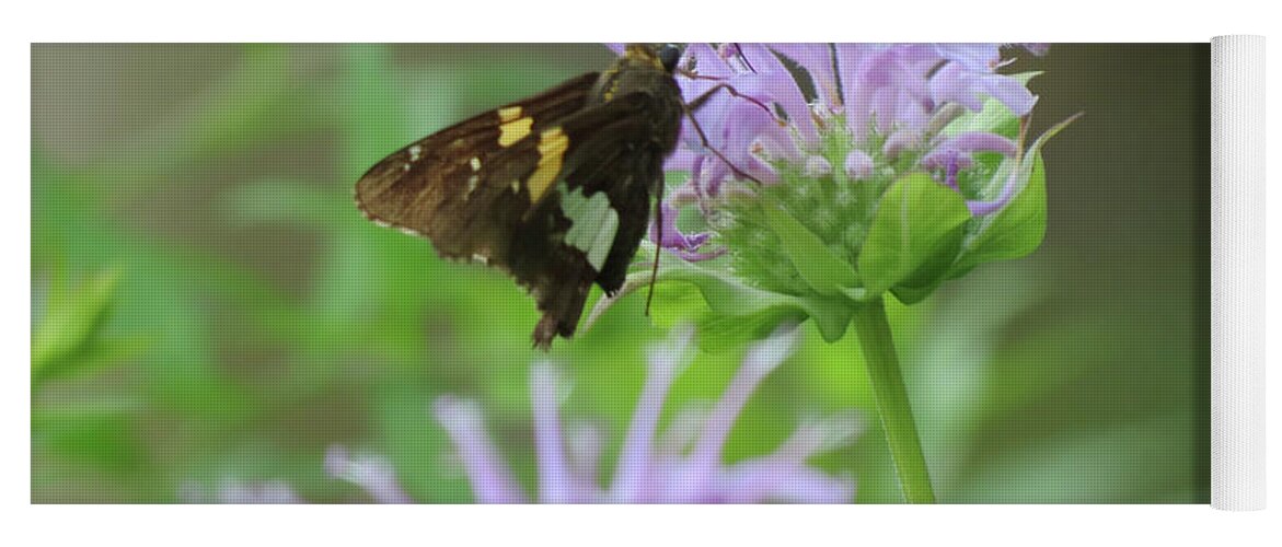 Skipper Yoga Mat featuring the photograph Skipper on Bee Balm - Butterfly by MTBobbins Photography