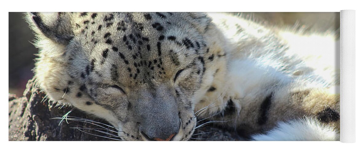 Snow Leopard Yoga Mat featuring the photograph Sleeping Snow Leopard by Holly Ross