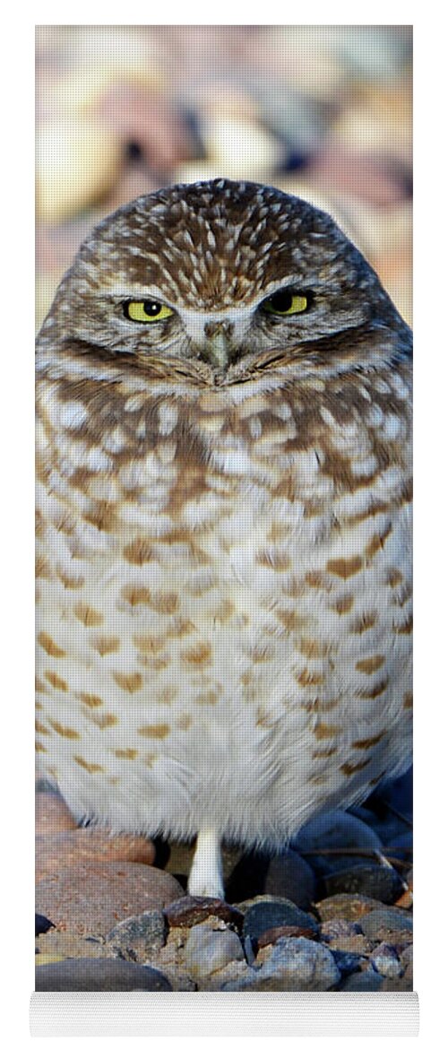 Denise Bruchman Yoga Mat featuring the photograph Sleepy Burrowing Owl by Denise Bruchman