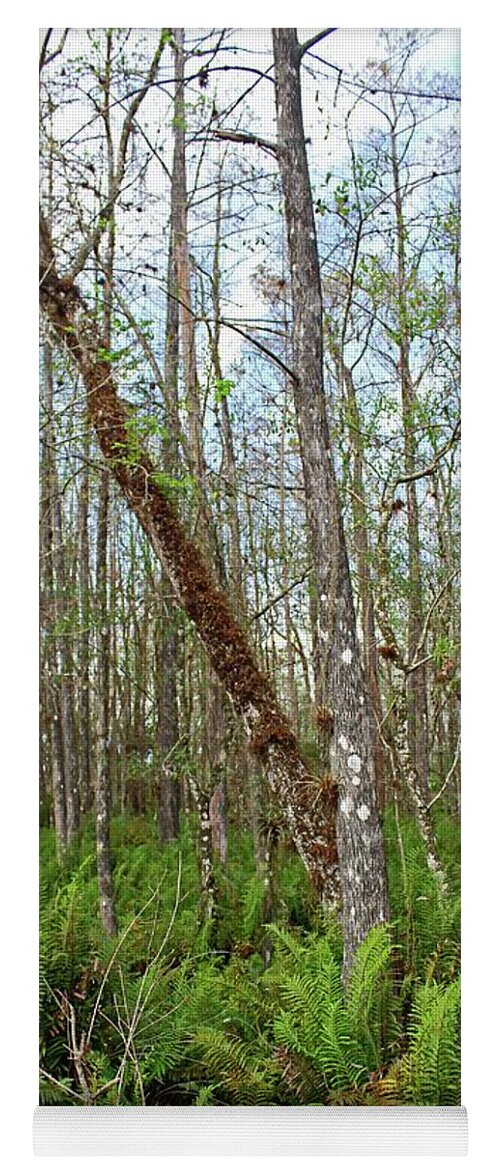 Tree Yoga Mat featuring the photograph Slough Legacy by Michiale Schneider