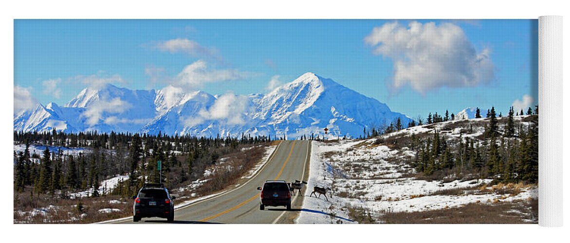 Caribou Yoga Mat featuring the photograph Small Alaska Traffic Jam by Cathy Mahnke