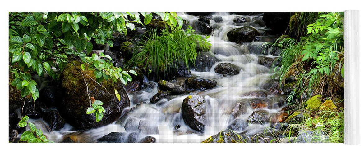 Waterfall Yoga Mat featuring the photograph Small Alaskan Waterfall by Anthony Jones