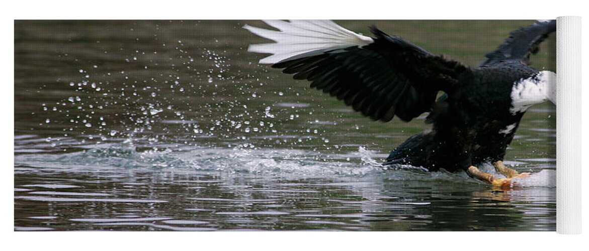 Duck Yoga Mat featuring the photograph Smooth Landing by Randall Ingalls