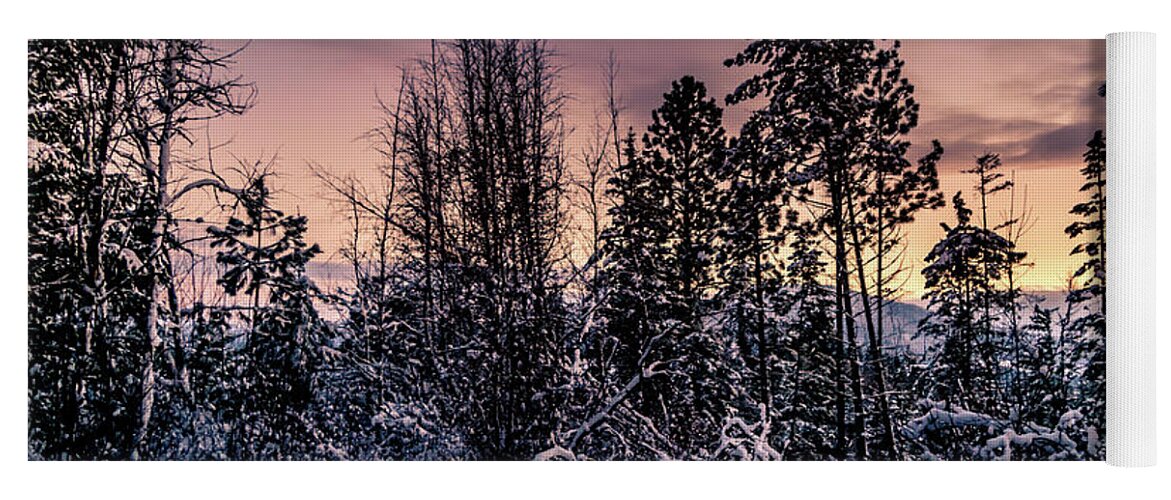 Photograph Yoga Mat featuring the photograph Snow Covered Pine Trees by Lester Plank
