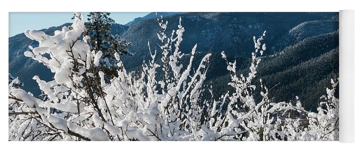 Pikes Peak Yoga Mat featuring the photograph Snow in the Pike National Forest by Steven Krull