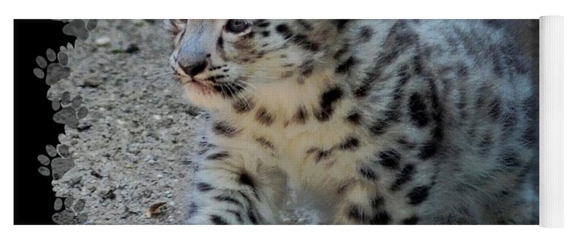 Terry Deluco Yoga Mat featuring the photograph Snow Leopard Cub Paws Border by Terry DeLuco