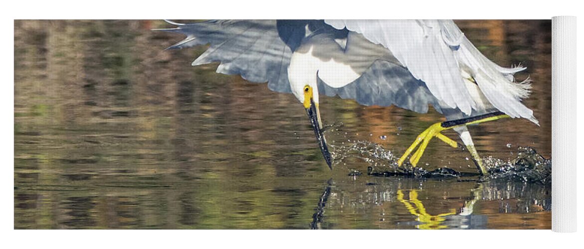 Snowy Yoga Mat featuring the photograph Snowy Egret 5165-092117-2cr by Tam Ryan