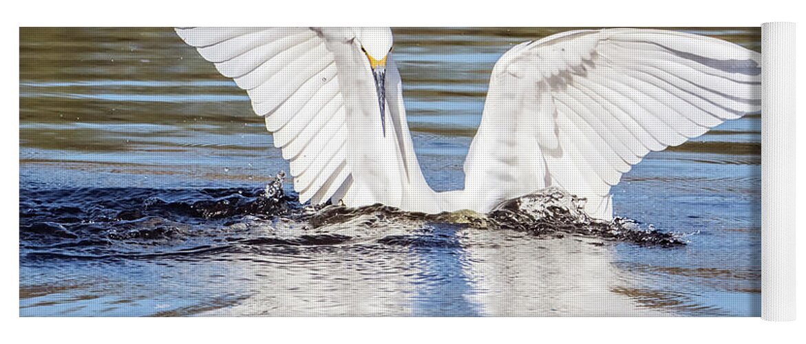Snowy Yoga Mat featuring the photograph Snowy Egret 9350-120317-1cr by Tam Ryan