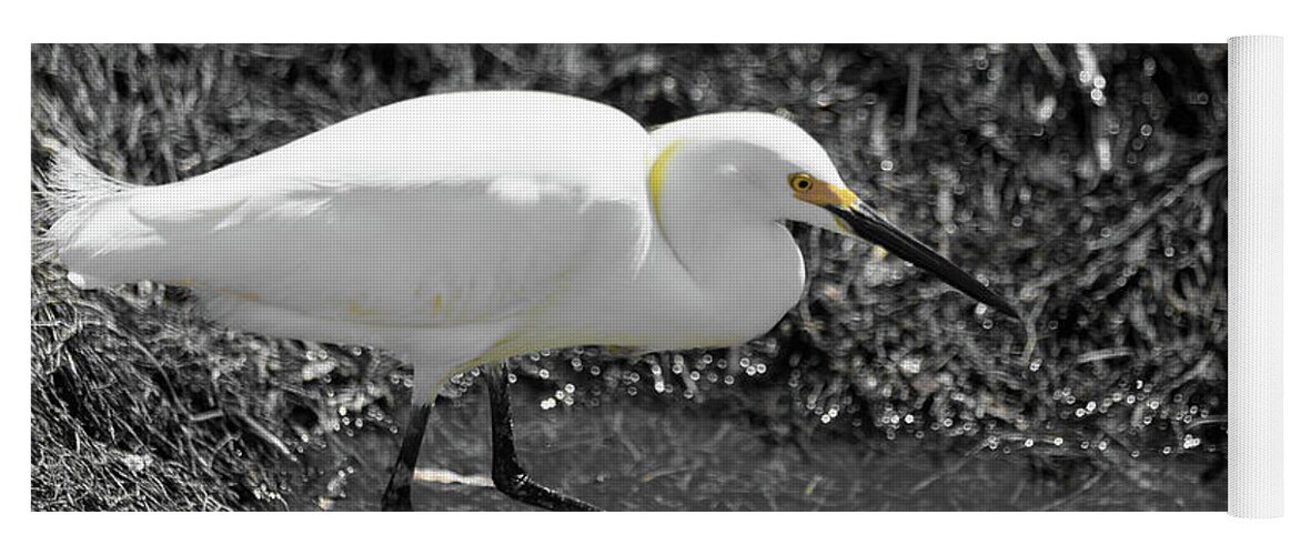 White And Yellow Bird Yoga Mat featuring the photograph Snowy Egret by Doug Camara