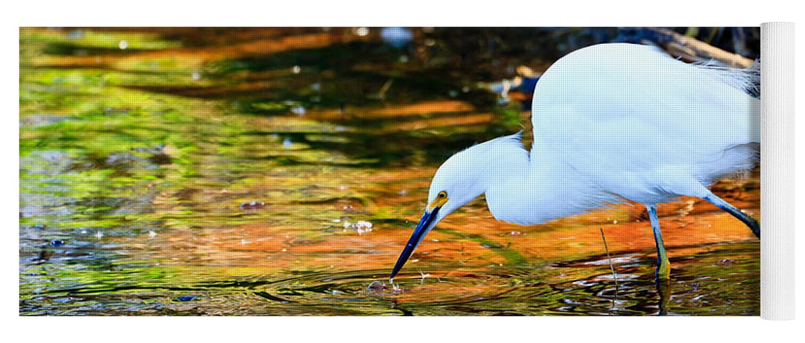 Snowy Egret Yoga Mat featuring the photograph Snowy Egret Hunting 2 by Ben Graham