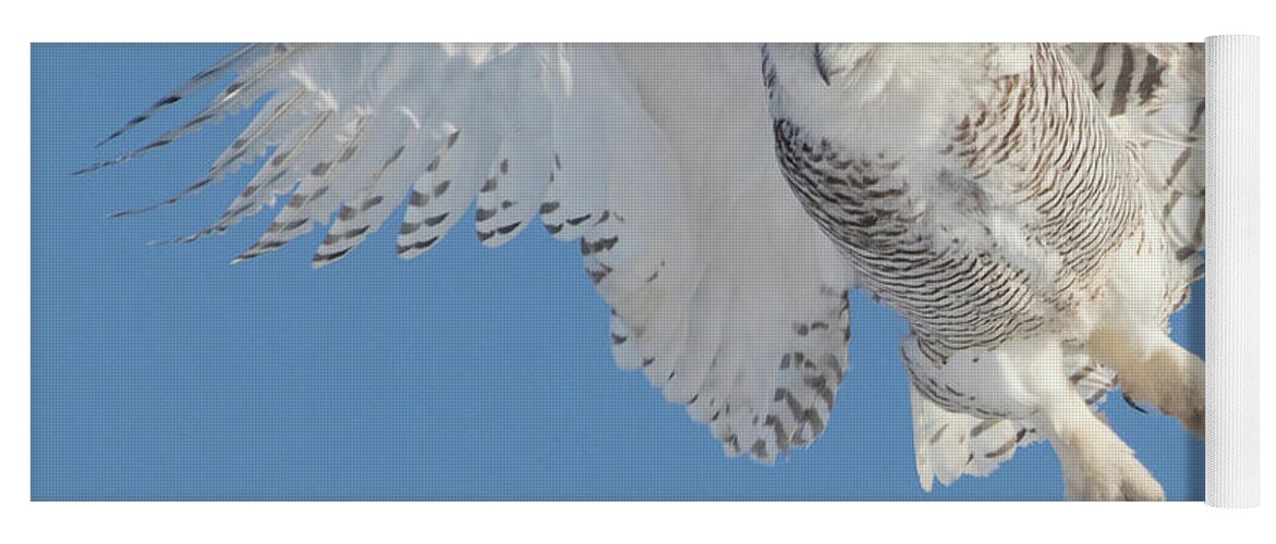Snowy Owl Yoga Mat featuring the photograph Snowy Owl Liftoff by Mindy Musick King