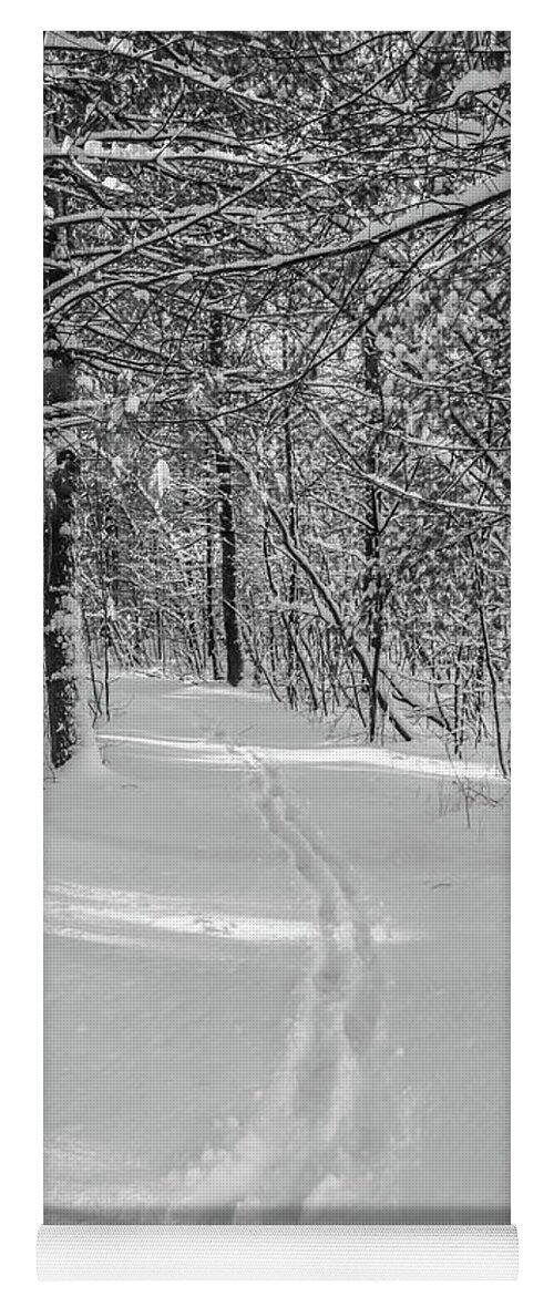 Winter Yoga Mat featuring the photograph Snowy path in the forest by Claudia M Photography