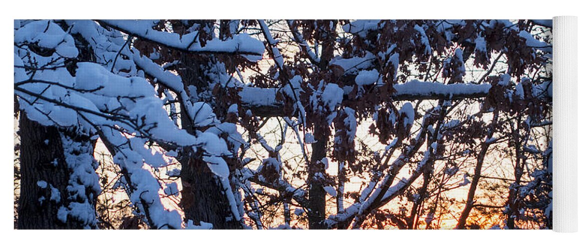 Snow Yoga Mat featuring the photograph Snowy tree sunset by Toby McGuire