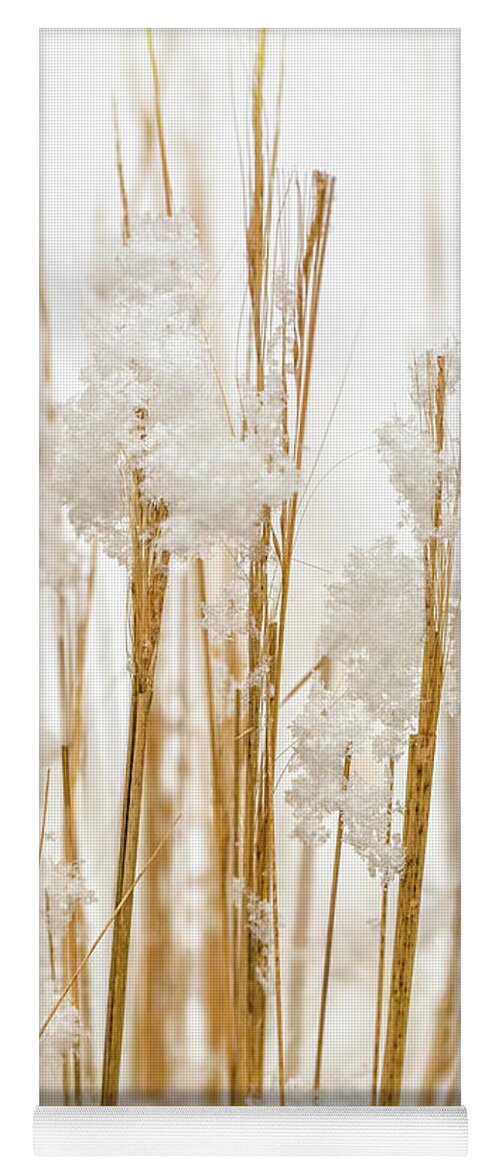 Snow Yoga Mat featuring the photograph Snowy weed - vertical by Delphimages Photo Creations