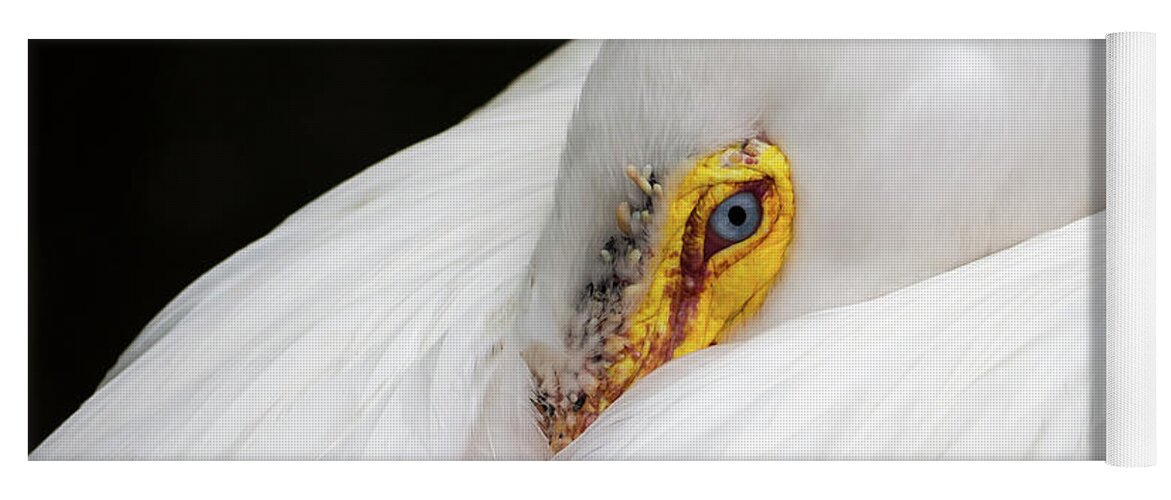 Beak Yoga Mat featuring the photograph Snuggled White Pelican by Penny Lisowski