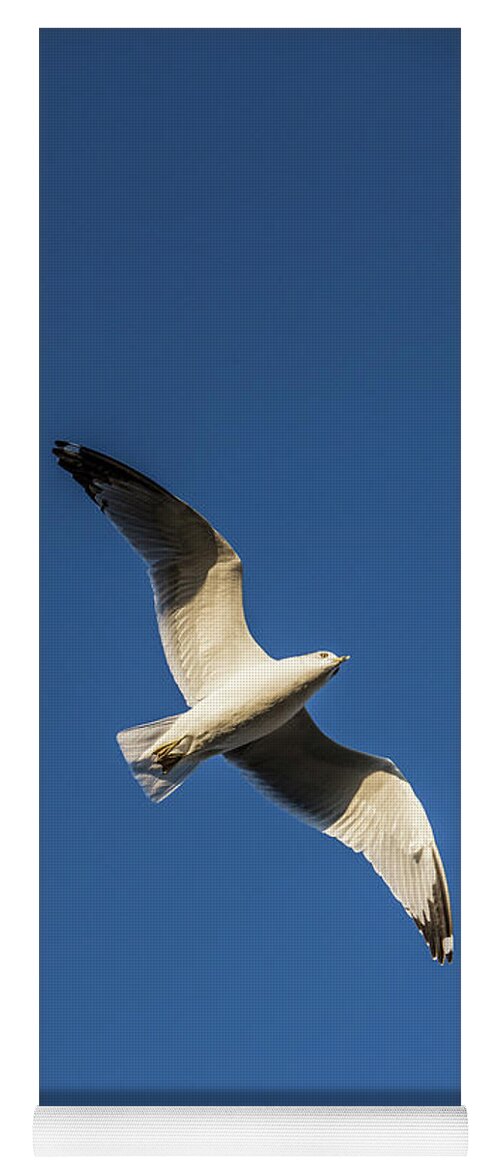 Photograph Yoga Mat featuring the photograph Soaring Bird by Jason Hughes