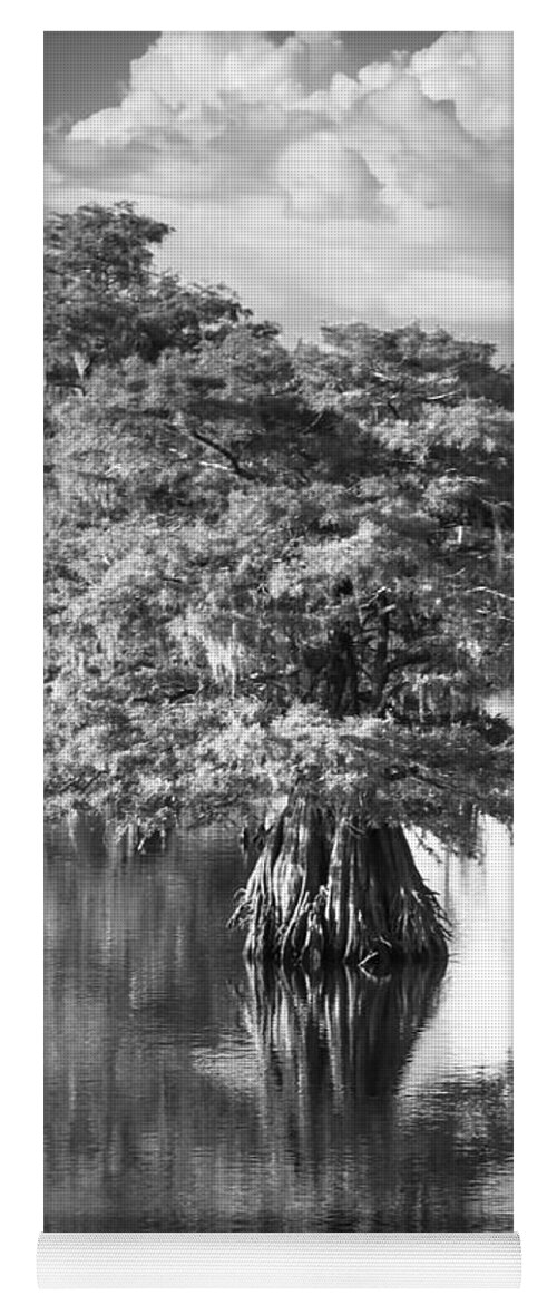 Dead Lakes Yoga Mat featuring the photograph Solo Tree Dead Lakes Black and White by Debra Forand