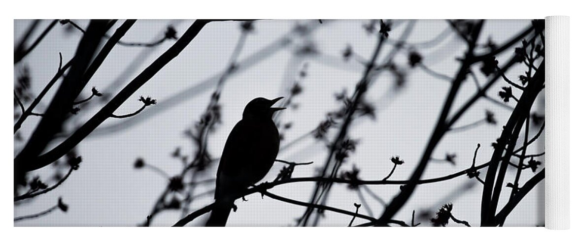 Terry D Photography Yoga Mat featuring the photograph Song Bird Silhouette by Terry DeLuco