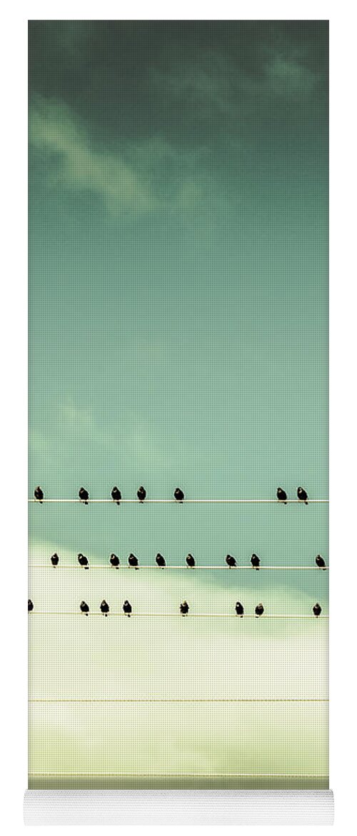 Birds Yoga Mat featuring the photograph Song birds on five lined staff by Jorgo Photography