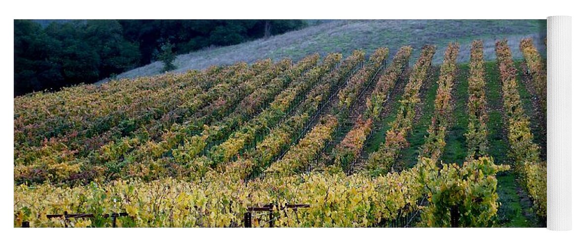 Vineyards Yoga Mat featuring the photograph Sonoma County Vineyards Near Healdsburg by Charlene Mitchell