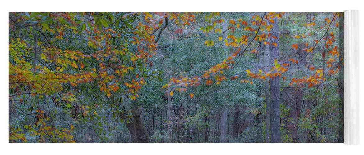 Autumn Yoga Mat featuring the photograph Southern Autumn by Dale Powell