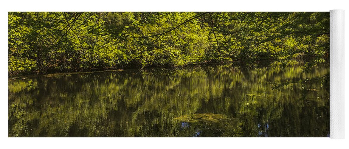 Pond Yoga Mat featuring the photograph Southern Still Waters by Dale Powell