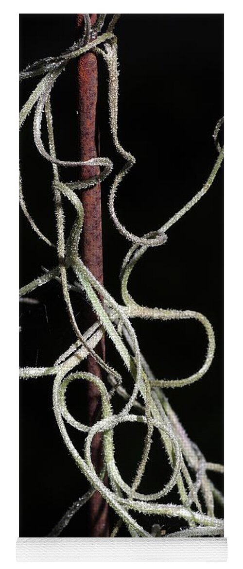 Abstract Yoga Mat featuring the photograph Spanish Moss on Wire by Richard Rizzo