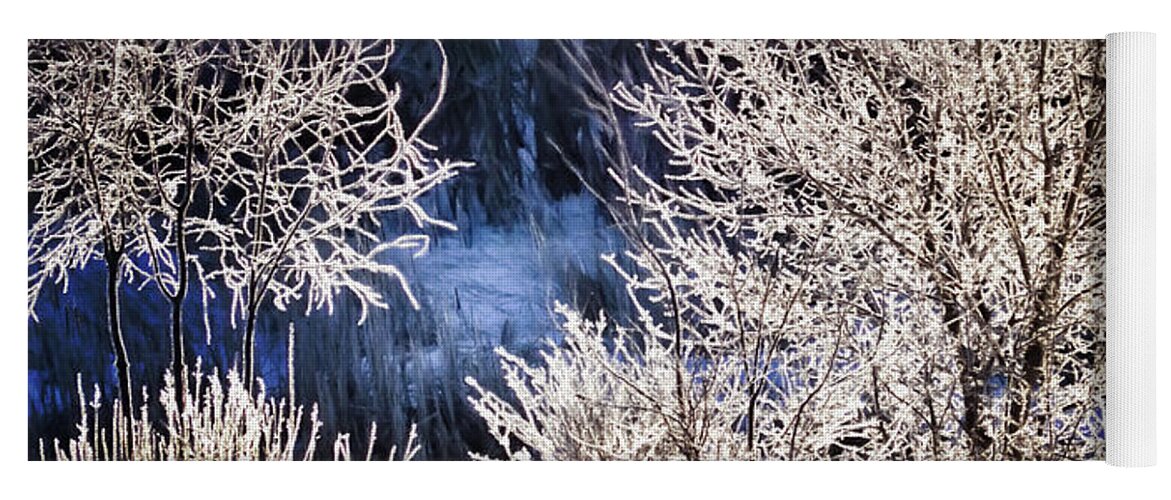 Winter Yoga Mat featuring the photograph Sparkling Frost by Jo-Anne Gazo-McKim