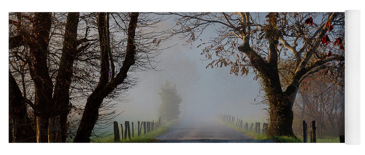 Sparks Yoga Mat featuring the photograph Sparks Lane, Oct 2017 by Douglas Stucky